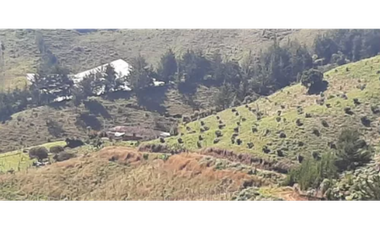 FINCA AGRICOLA, EN ABEJORRAL ANTIOQUIA