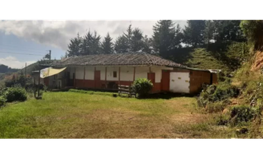 FINCA AGRICOLA, EN ABEJORRAL ANTIOQUIA