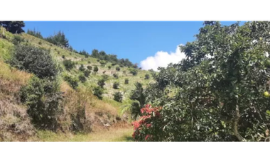 FINCA AGRICOLA, EN ABEJORRAL ANTIOQUIA