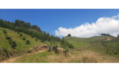 FINCA AGRICOLA, EN ABEJORRAL ANTIOQUIA