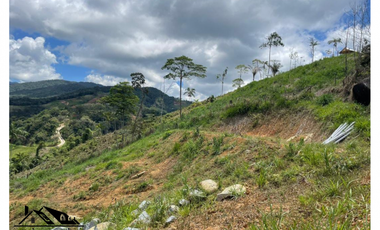 LOTE EN SAN LUS, RO DORMILÓN
