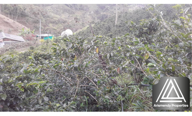 FINCA EN SANTO DOMINGO ANTIOQUIA, VEREDA MONTEBELLO