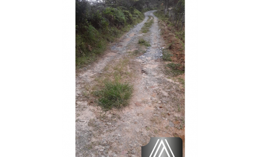 FINCA EN SANTO DOMINGO ANTIOQUIA, VEREDA MONTEBELLO