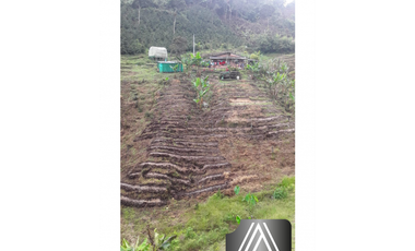 FINCA EN SANTO DOMINGO ANTIOQUIA, VEREDA MONTEBELLO