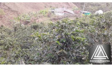 FINCA EN SANTO DOMINGO ANTIOQUIA, VEREDA MONTEBELLO
