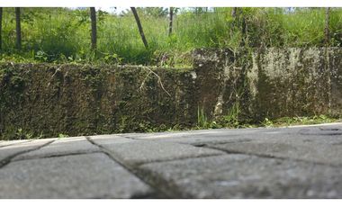 Lote en Amaga (Suroeste Antioqueño)