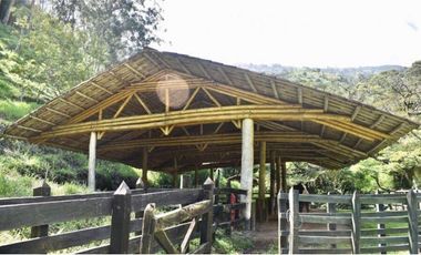 Venta Finca Girardota Corregimiento Cabildo Antioquia