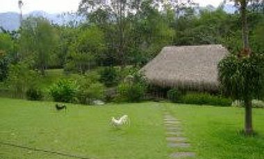 Venta Finca Girardota Corregimiento Cabildo Antioquia