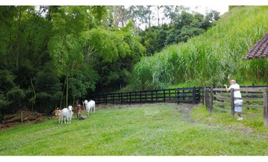 Venta Finca Girardota Corregimiento Cabildo Antioquia
