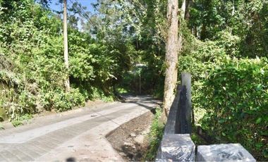 Venta Finca Girardota Corregimiento Cabildo Antioquia