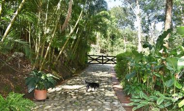 Venta Finca Girardota Corregimiento Cabildo Antioquia