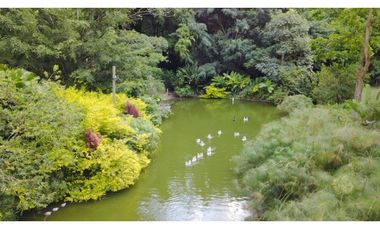 Venta Finca Girardota Corregimiento Cabildo Antioquia