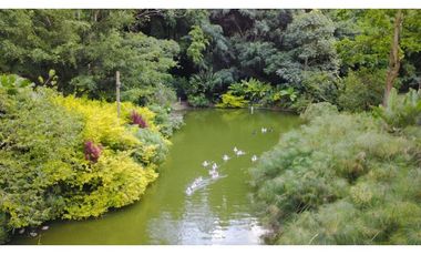 Venta Finca Girardota Corregimiento Cabildo Antioquia