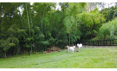 Venta Finca Girardota Corregimiento Cabildo Antioquia