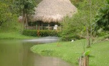 Venta Finca Girardota Corregimiento Cabildo Antioquia