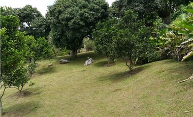 Venta Lote en El Noral Copacabana Antioquia
