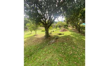 Venta Lote en El Noral Copacabana Antioquia