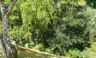Venta Lote en El Noral Copacabana Antioquia