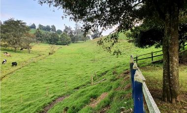 Finca en venta San Felix
