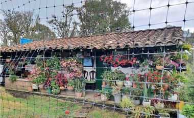 Finca en venta San Felix