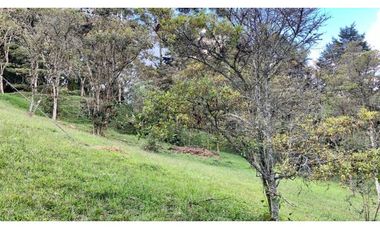 Casa Moderna Sin Administracion Variante Aeropuerto (Rionegro)