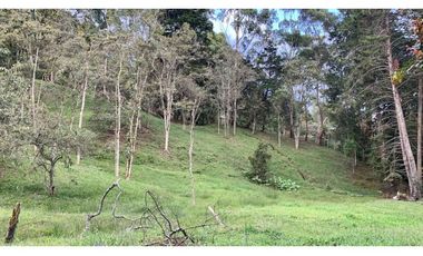 Casa Moderna Sin Administracion Variante Aeropuerto (Rionegro)