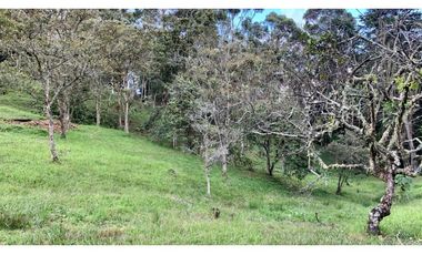 Casa Moderna Sin Administracion Variante Aeropuerto (Rionegro)