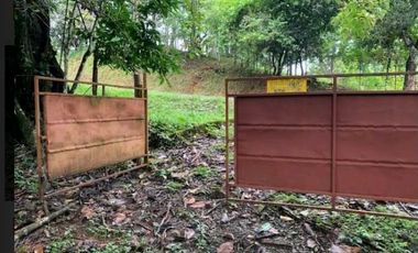 SE VENDE FINCA 4 HECTAREAS LAS MINAS HERRERA