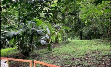 SE VENDE FINCA 4 HECTAREAS LAS MINAS HERRERA