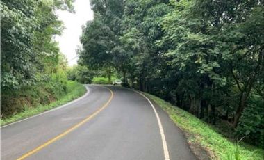 SE VENDE FINCA 4 HECTAREAS LAS MINAS HERRERA