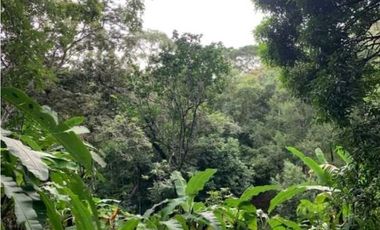 SE VENDE FINCA 4 HECTAREAS LAS MINAS HERRERA