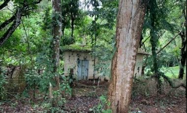 SE VENDE FINCA 4 HECTAREAS LAS MINAS HERRERA