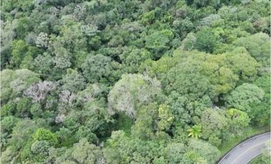 SE VENDE FINCA 4 HECTAREAS LAS MINAS HERRERA