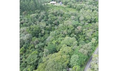 SE VENDE FINCA 4 HECTAREAS LAS MINAS HERRERA