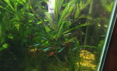 Casa en venta en Quilmes Oeste