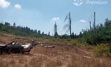 Parcela en Venta en machicura