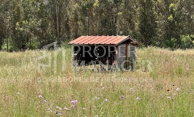 Agrícola en Venta en Casa de 140 m2 en Parcela de 4Ha, Pueblo Seco Santa Clara