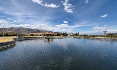 I3 TERRENO EN VENTA LA PRADERA HACIENDA