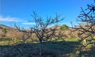 Illapel Parcela en producción 2 Pozos y acciones agua Paltos Nogales