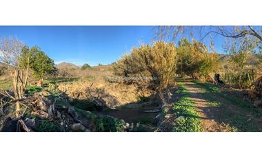Illapel Parcela en producción 2 Pozos y acciones agua Paltos Nogales