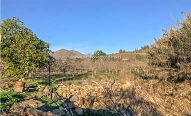 Illapel Parcela en producción 2 Pozos y acciones agua Paltos Nogales