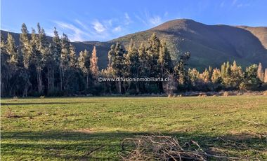 Illapel Parcela en producción 2 Pozos y acciones agua Paltos Nogales