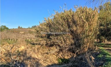 Illapel Parcela en producción 2 Pozos y acciones agua Paltos Nogales