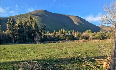 Illapel Parcela en producción 2 Pozos y acciones agua Paltos Nogales