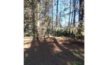 Oportunidad, Proyecto en Los Pinos