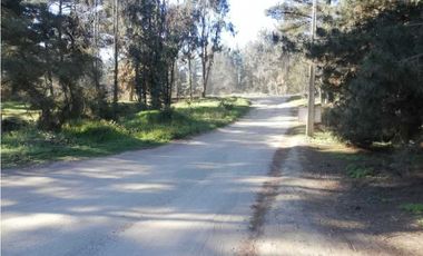 Oportunidad, Proyecto en Los Pinos