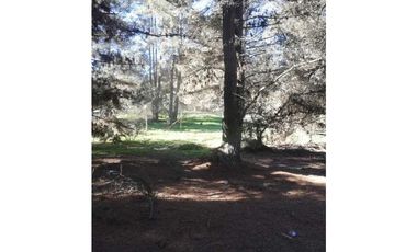 Oportunidad, Proyecto en Los Pinos