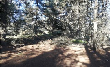 Oportunidad, Proyecto en Los Pinos