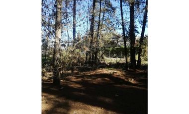 Oportunidad, Proyecto en Los Pinos