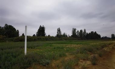 Parcela en Venta en Chacra La Primavera Lampa